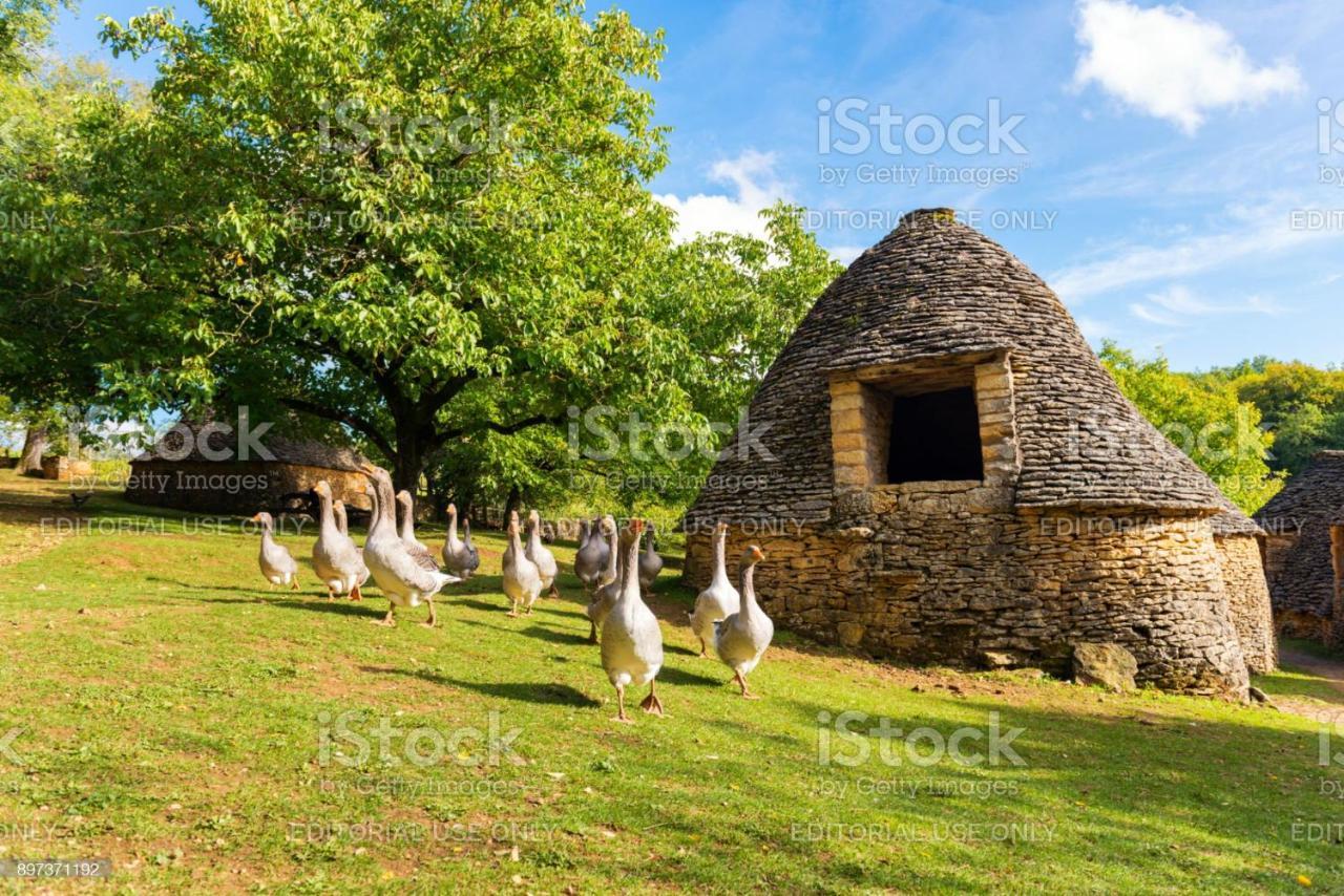 Studio Fontaine D'Amour Sarlat-la-Canéda Exterior foto